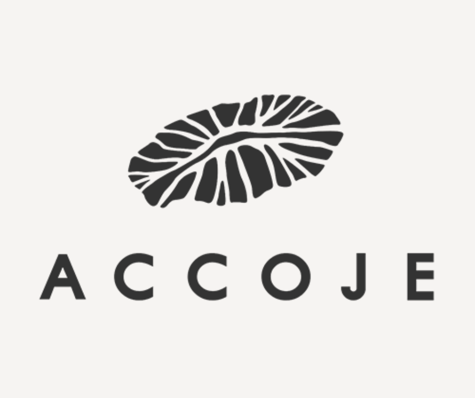 Accoje_článok (4)